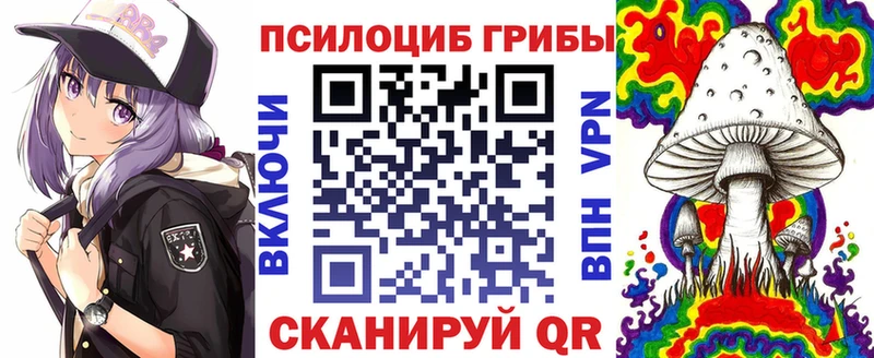 mega ТОР  купить   Грязи  darknet состав  Псилоцибиновые грибы прущие грибы 